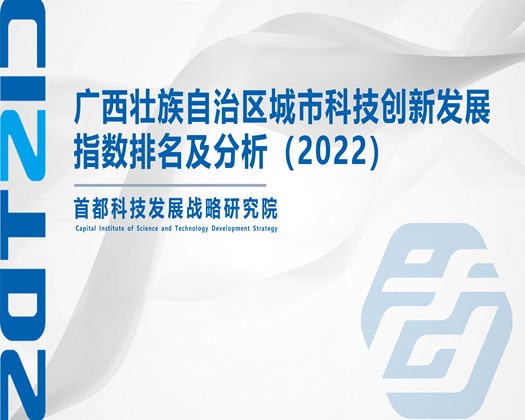 大鸡巴爆操网站【成果发布】广西壮族自治区城市科技创新发展指数排名及分析（2022）